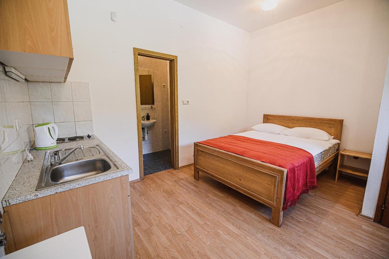 Mojcin Pisker Apartment House Kranj Exteriér fotografie